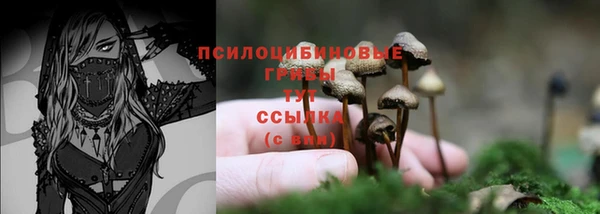 амф Алзамай