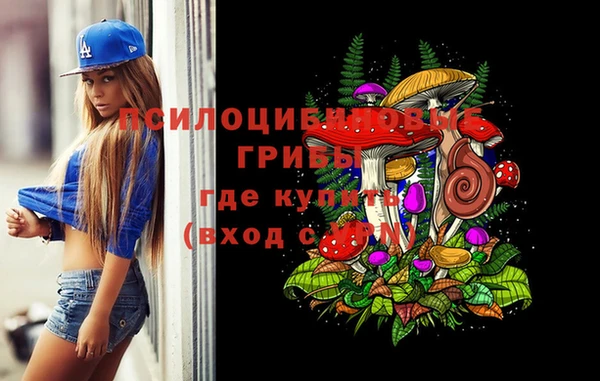 mdpv Костерёво
