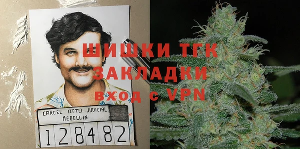 прущие грибы Алексеевка