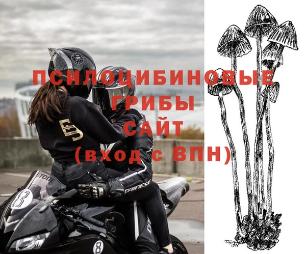 амф Алзамай