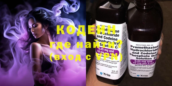 прущие грибы Алексеевка