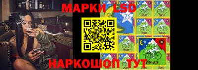 индика Владимир