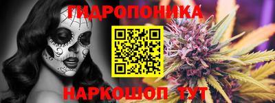 индика Владимир