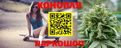 индика Владимир
