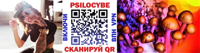 Галлюциногенные грибы Magic Shrooms  как найти закладки  OMG ссылка  Курганинск 