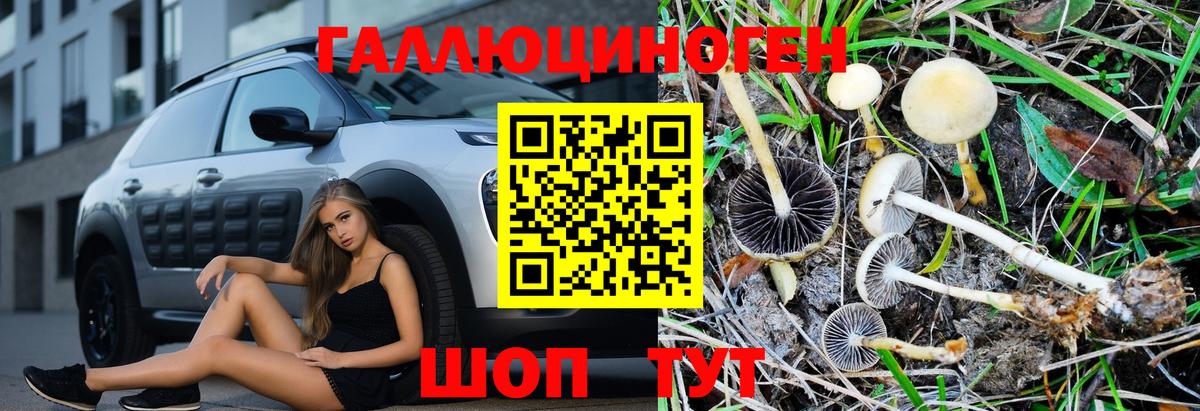 Галлюциногенные грибы MAGIC MUSHROOMS Курганинск