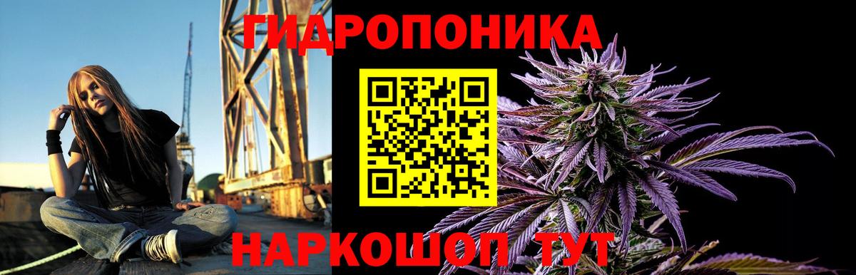 Конопля LSD WEED Курганинск